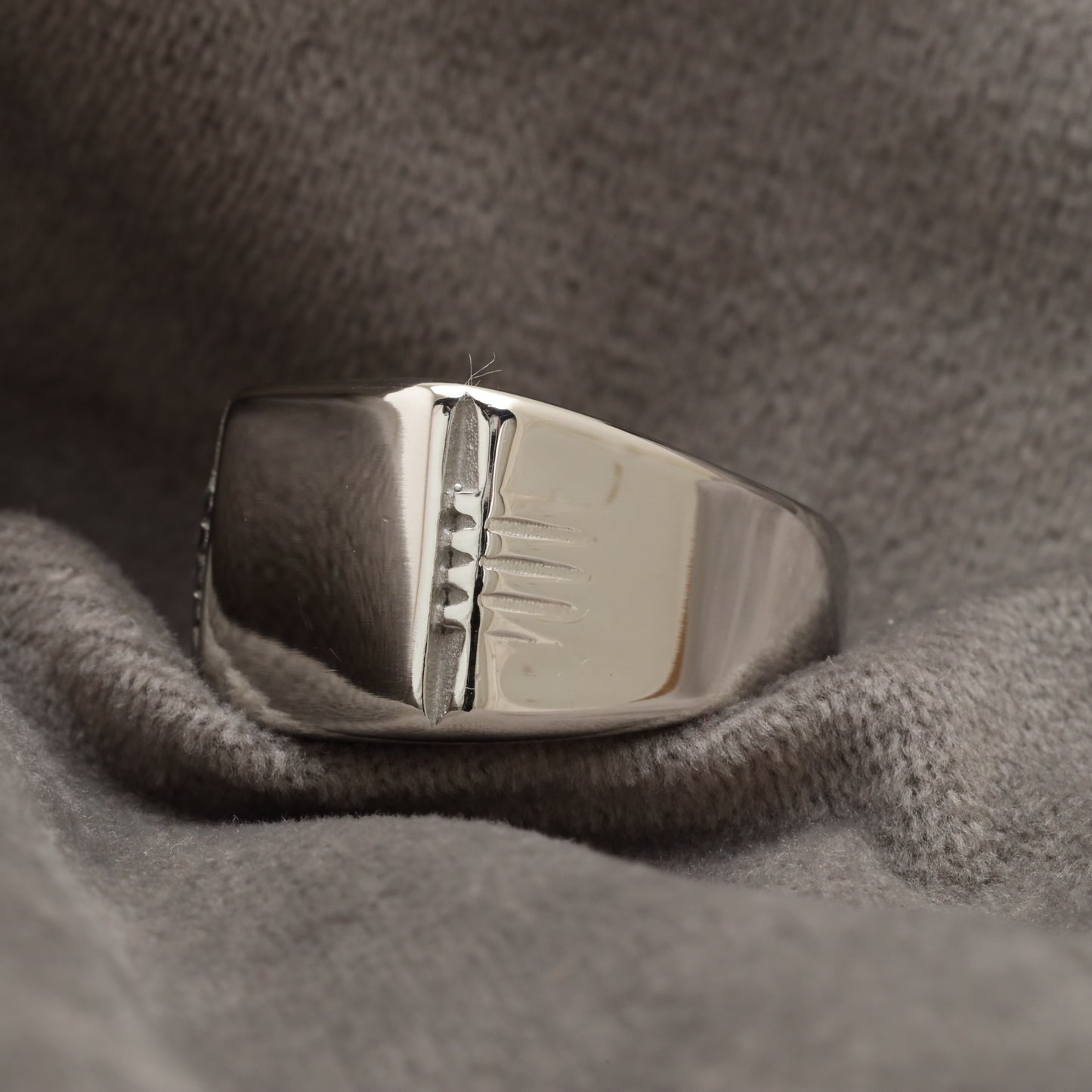 Silver Signet Silver Stainless Steel Ring R19
